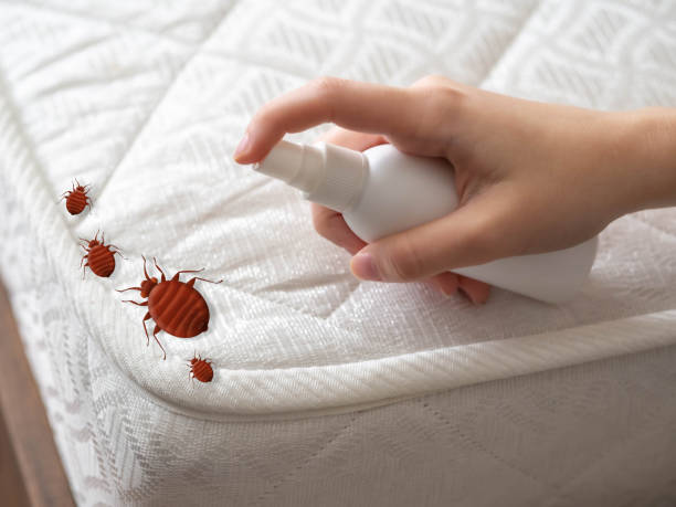 Best Residential Pest Control  in Keokuk, IA